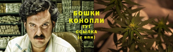 крисы Аркадак