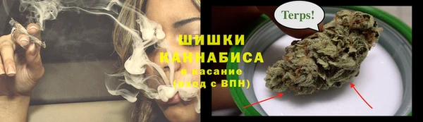 крисы Аркадак