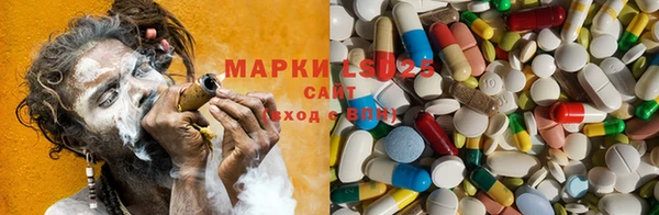 крисы Аркадак